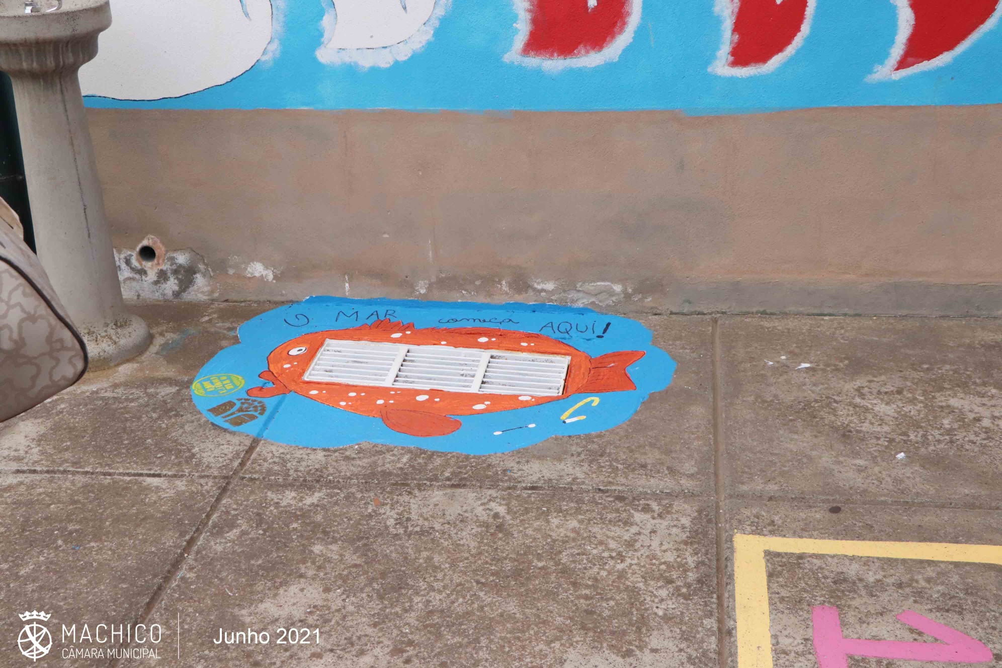 EB1/PE/C de Água de Pena<br />
foto no interior do pátio do edifício escolar, numa sarjeta, retratando um "mero"