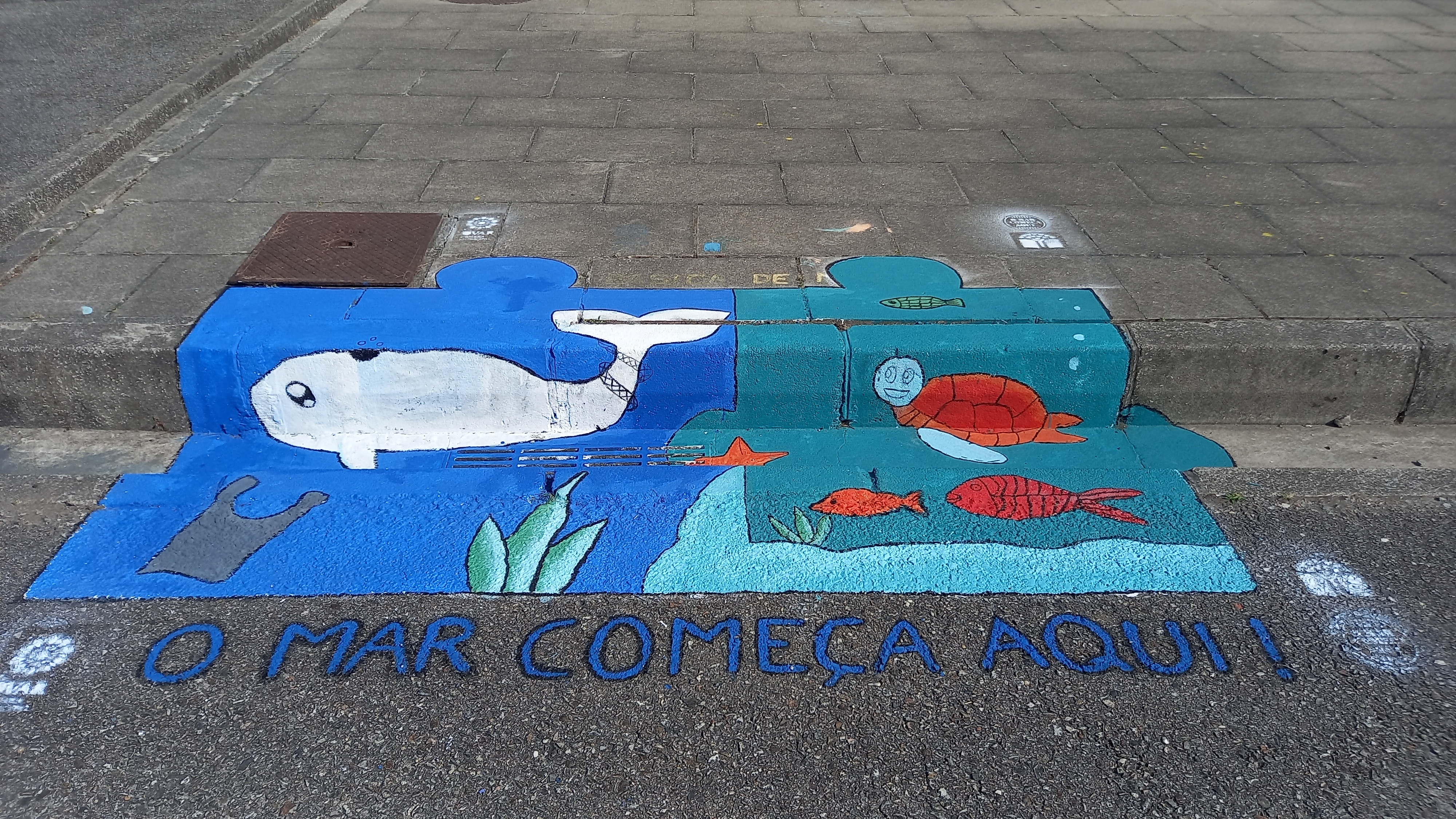 "O futuro do mar está nas nossas mãos".