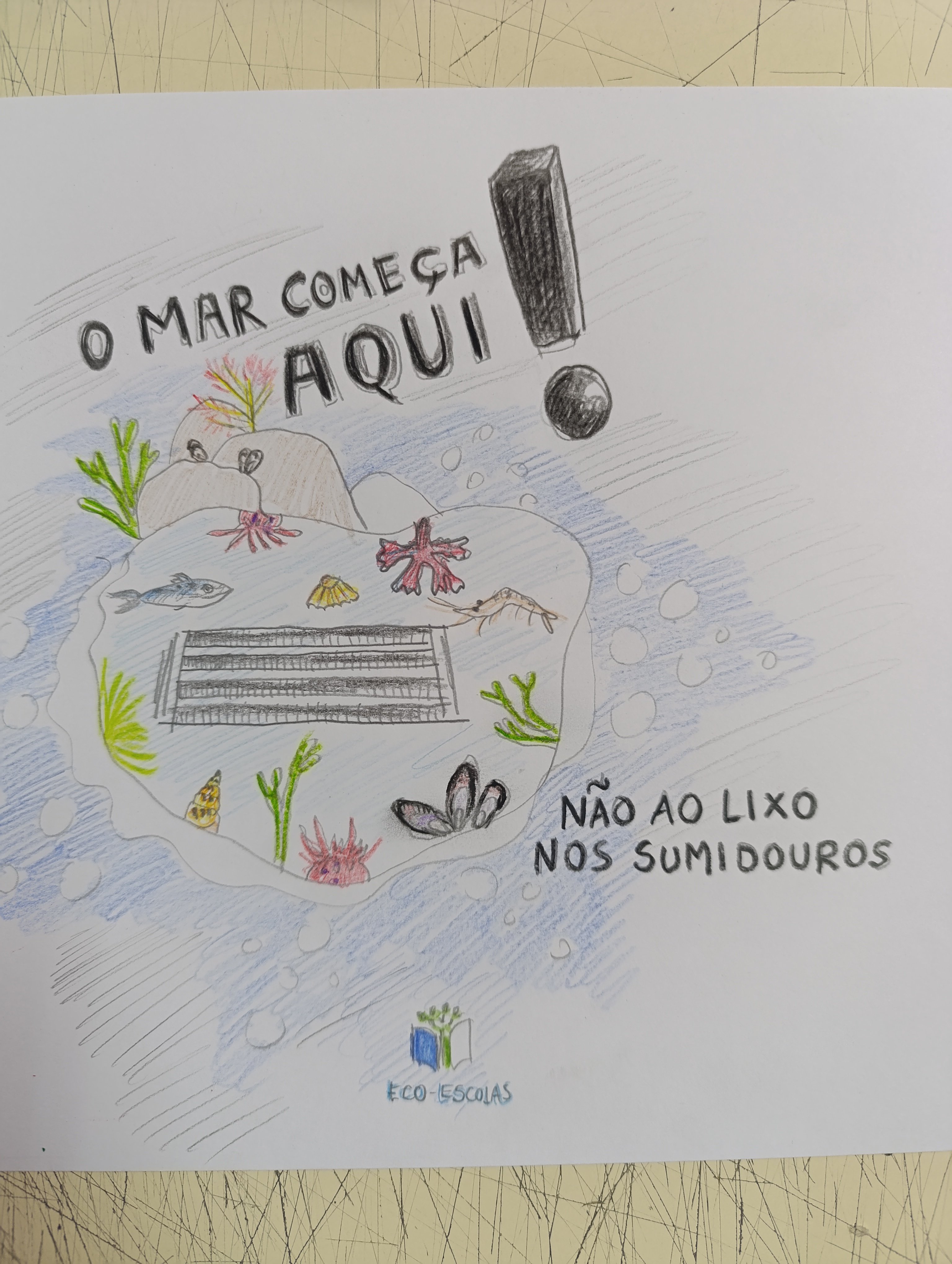 Não ao lixo nos sumidouros!