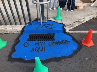 Todos os peixes marinhos começam a poluir-se nos esgotos
