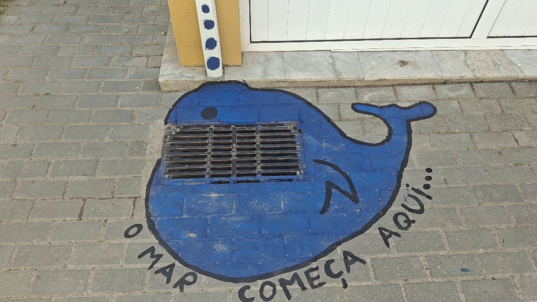 Polvo