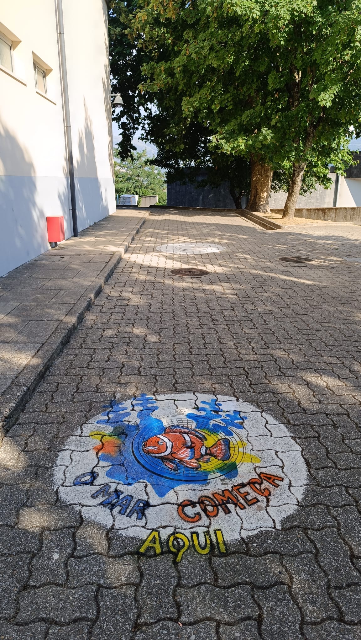 O nemo à sombra