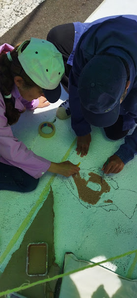 Inicio das pinturas (peixe mero)