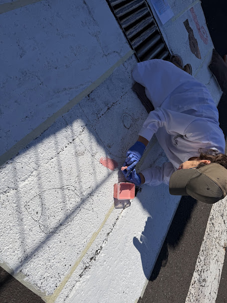 Transferência dos elementos a pintar para o piso
