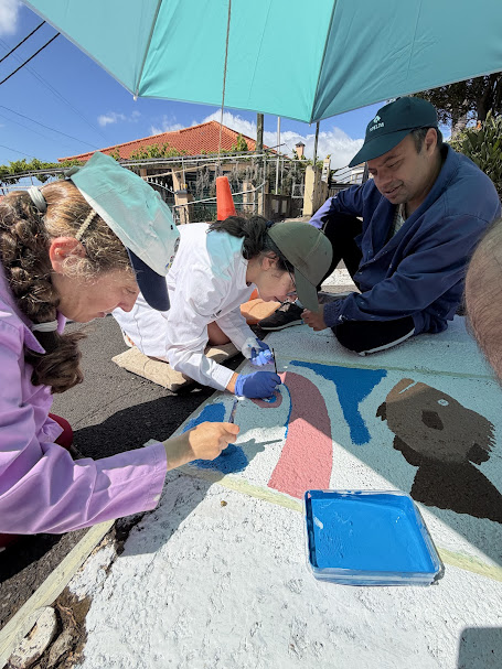 pintura da cor azul - mar, e respetivos retoques dos elemento que compõem a pintura