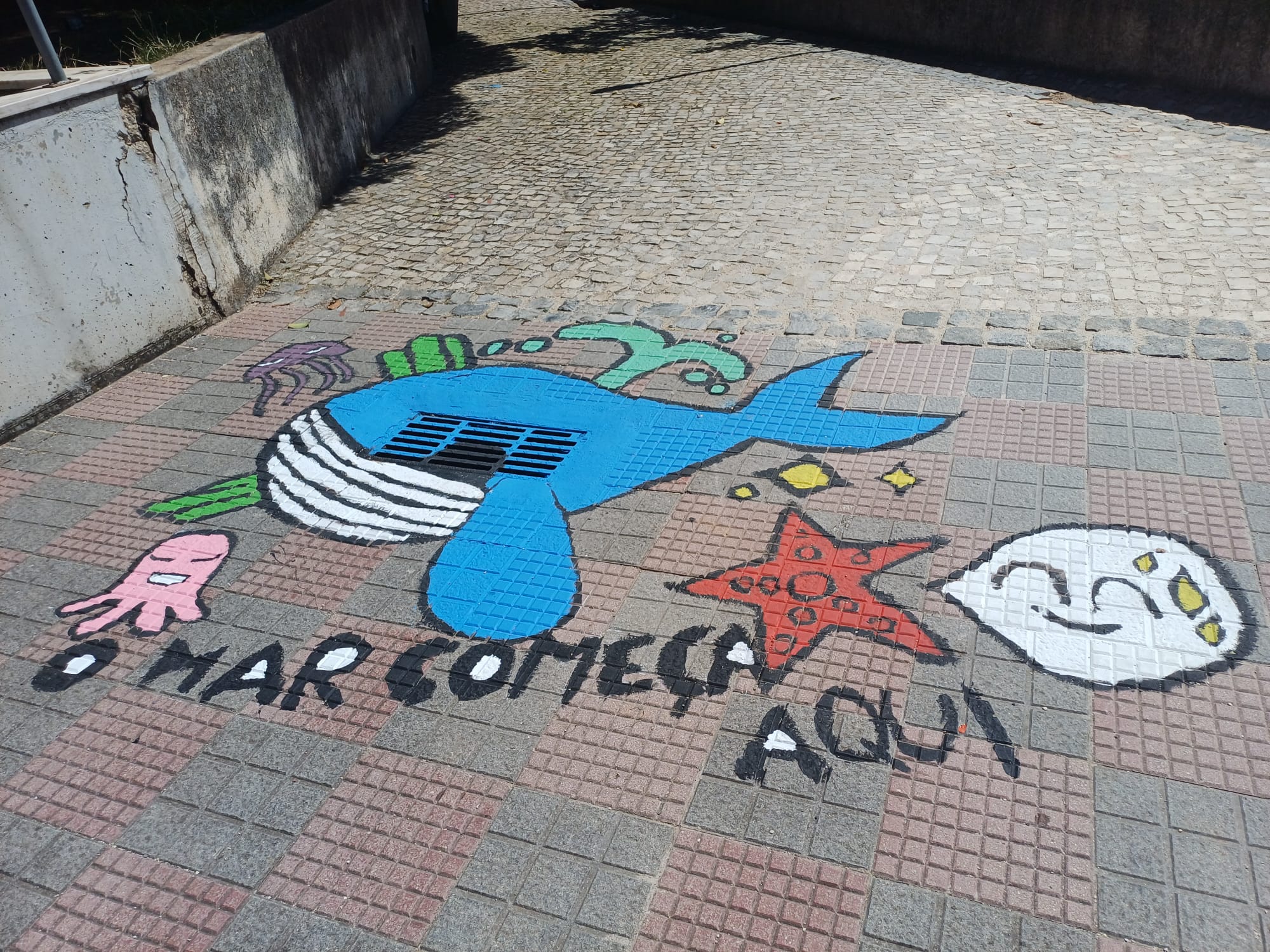 Sarjeta pintada_final